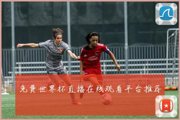 免费世界杯直播在线观看平台推荐