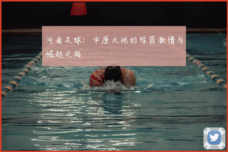 河南足球：中原大地的绿茵激情与崛起之路